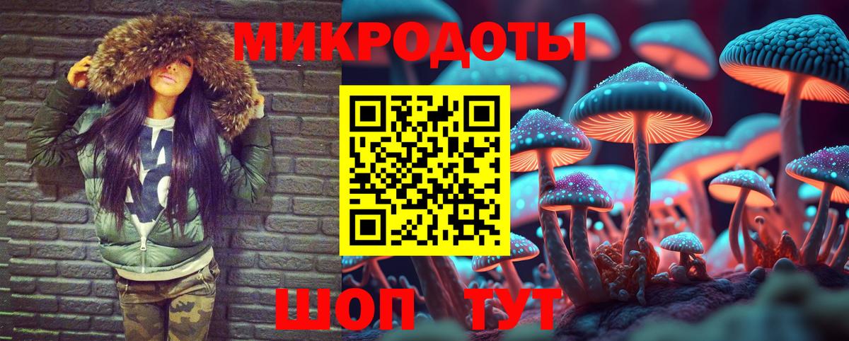 Галлюциногенные грибы мицелий  где найти   Саратов  Вход с VPN  Галлюциногенные грибы GOLDEN TEACHER 